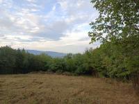 Menedékház utca&nbsp;
45 MFt - 0 m2&nbsp;Eladó Telek Budapest